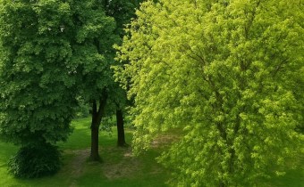 -widok z okna